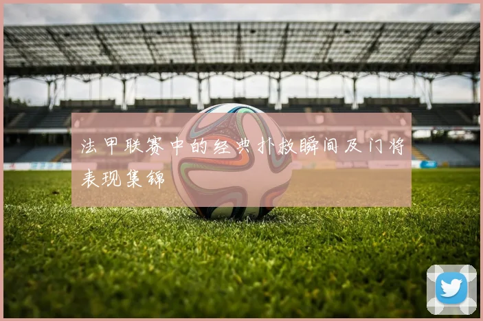 法甲联赛中的经典扑救瞬间及门将表现集锦