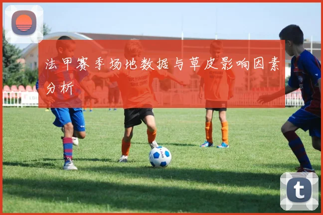 法甲赛季场地数据与草皮影响因素分析
